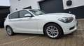 BMW 116 +TÜV+204PS+GARANTIE+PARKS+SITZH+TEMPO Weiß - thumbnail 10