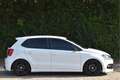 Volkswagen Polo 1.2 TSI Edition R | NL-Auto | Carplay | Nav | Blue Wit - thumbnail 6