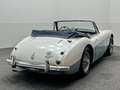 Austin-Healey 3000 MKII BJ7 2+2 / Convertible / Roadster / 1964 bijela - thumbnail 37