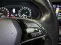Skoda Octavia Ambition 4x4 Grau - thumbnail 32