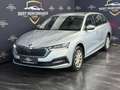 Skoda Octavia Ambition 4x4 Grau - thumbnail 1
