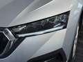 Skoda Octavia Ambition 4x4 Grau - thumbnail 5