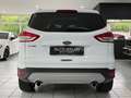Ford Kuga Titanium 4x4 *PANO*BI-XEN*R-KAM*MFL*TEMP*LM Blanc - thumbnail 4