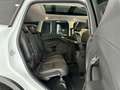 Ford Kuga Titanium 4x4 *PANO*BI-XEN*R-KAM*MFL*TEMP*LM Blanc - thumbnail 12