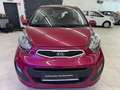 Kia Picanto Edition 7 23910 KM Mauve - thumbnail 3