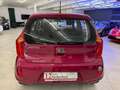 Kia Picanto Edition 7 23910 KM Mauve - thumbnail 4