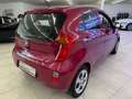 Kia Picanto Edition 7 23910 KM Mauve - thumbnail 5