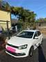 Volkswagen Polo Polo V 2014 5p 1.4 tdi bm Highline 90cv dsg - thumbnail 1