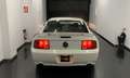 Ford Mustang GT White - thumbnail 4