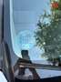 Citroen Berlingo Van BlueHDi S&S Talla M Club 100 Blanco - thumbnail 18