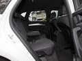 Audi Q5 40 TFSI Q 2x S LINE KAMERA ACC AHK VIRTUAL White - thumbnail 8