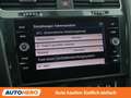 Volkswagen Golf 1.6 TDI Rabbit BlueMotion Tech. Schwarz - thumbnail 24