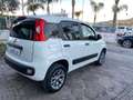 Fiat Panda 1.3 mjt 16v 4x4 Blanc - thumbnail 4