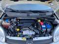 Fiat Panda 1.3 mjt 16v 4x4 Blanc - thumbnail 15
