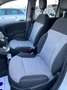 Fiat Panda 1.3 mjt 16v 4x4 Blanc - thumbnail 11