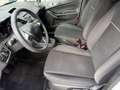 Ford Fiesta Trend Zahnriemen Neu Blanc - thumbnail 11