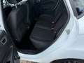 Ford Fiesta Trend Zahnriemen Neu Blanc - thumbnail 7