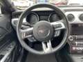 Ford Mustang 5.0 V8 GT Convertible Kamera|Carplay|Navi Rosso - thumbnail 12