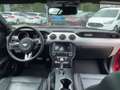 Ford Mustang 5.0 V8 GT Convertible Kamera|Carplay|Navi Rosso - thumbnail 11