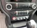 Ford Mustang 5.0 V8 GT Convertible Kamera|Carplay|Navi Rosso - thumbnail 18
