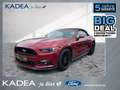 Ford Mustang 5.0 V8 GT Convertible Kamera|Carplay|Navi Rosso - thumbnail 1