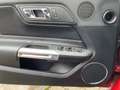 Ford Mustang 5.0 V8 GT Convertible Kamera|Carplay|Navi Rosso - thumbnail 19