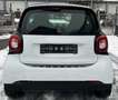 smart forTwo TÜV AU NEU*KLIMA*SITZ-HZ*Allwetter* Blanc - thumbnail 6