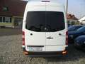 Mercedes-Benz Sprinter II HKa 311 CDI,Top Camperbasis,Standhzg!! - thumbnail 16