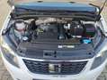 SEAT Alhambra Xcellence 1.4 TSI, AHK,DSG,PDC,7 Sitze Weiß - thumbnail 14