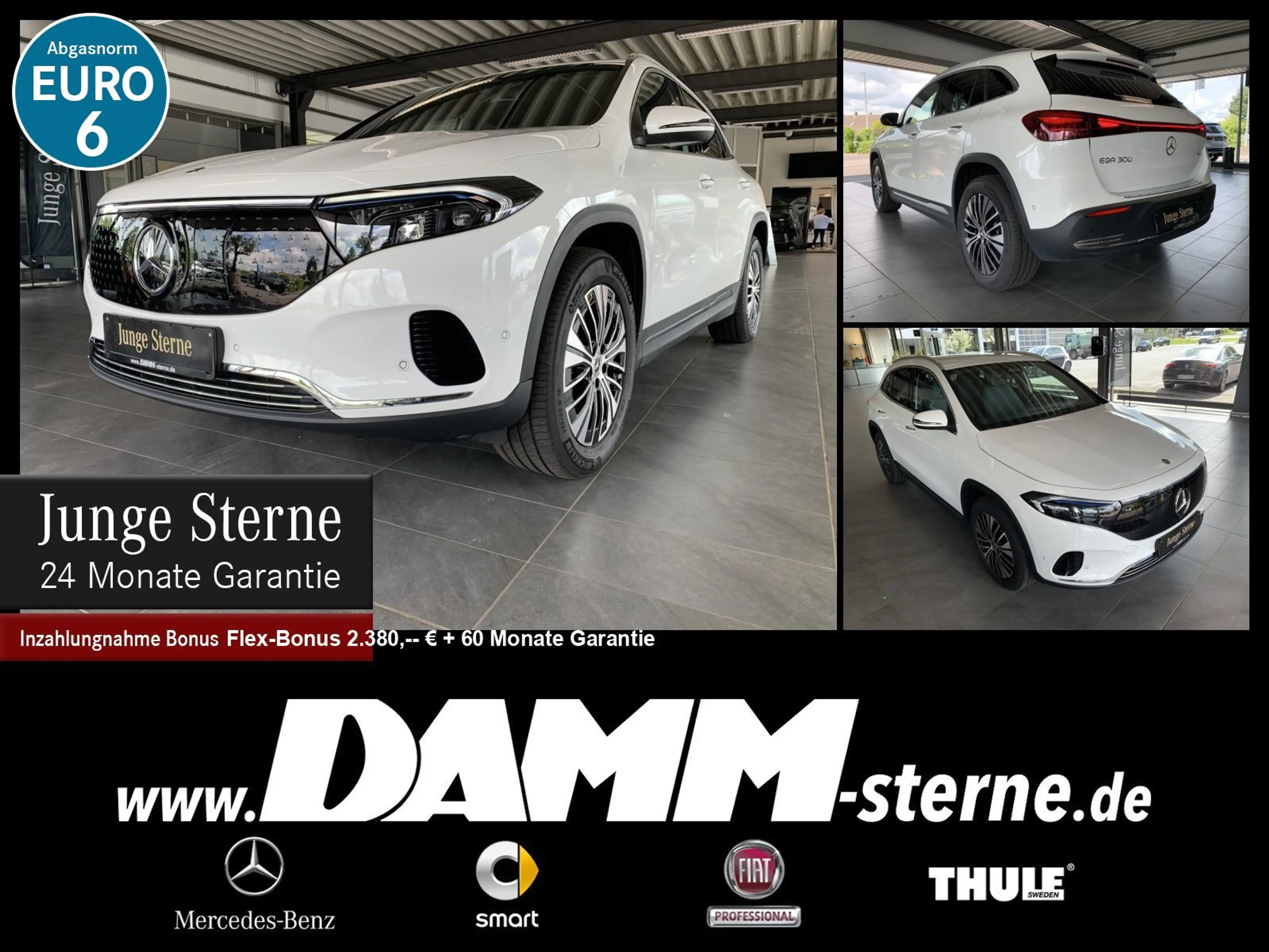 Mercedes-Benz EQA 300 EQA 300 4M Progr.Adv+/MEMORY/AHK/FAP/60M GA+Flex