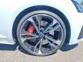 Audi S5 55 TDI q. Tiptr., Matrix Laser, AHK Blau - thumbnail 16