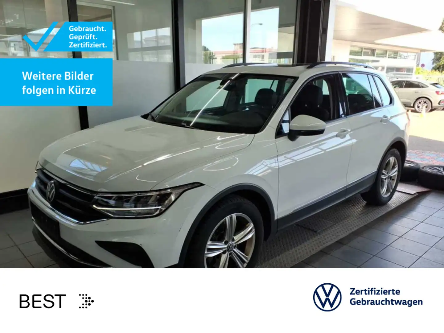 Volkswagen Tiguan Life 2.0 TDI 4M*Pano*Leder*ACC Weiß - 1