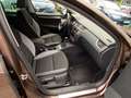 Skoda Octavia Combi "Joy" Klima+Sitzheizung+PDC+1.Hand Marrón - thumbnail 14