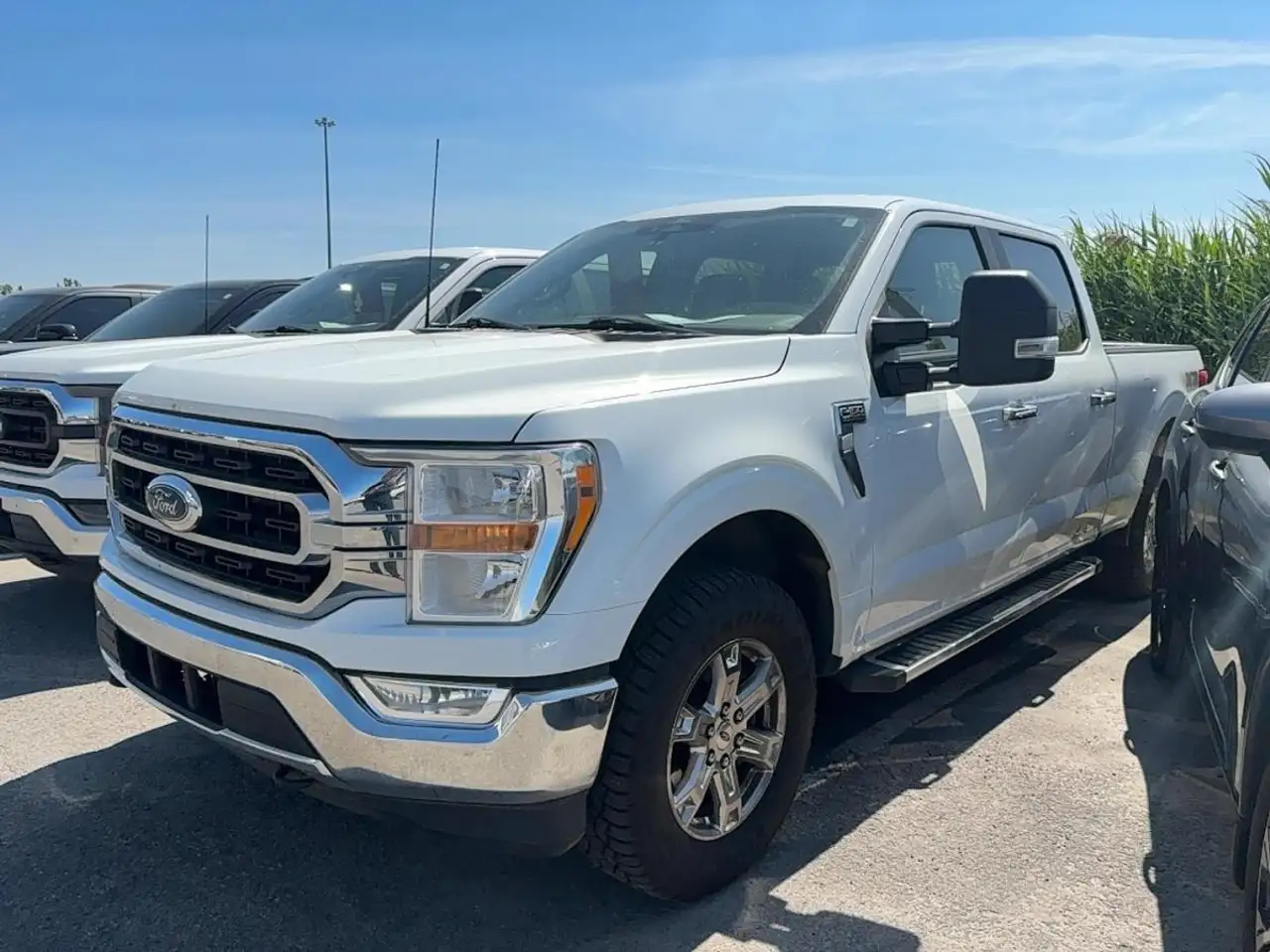 2022 Ford F 150