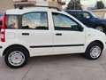 Fiat Panda Panda II 2003 1.2 natural power Dynamic Bianco - thumbnail 5