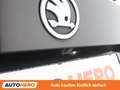 Skoda Kodiaq 2.0 TDI Scout 4x4 Braun - thumbnail 32