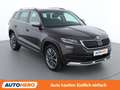 Skoda Kodiaq 2.0 TDI Scout 4x4 Braun - thumbnail 8