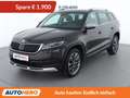 Skoda Kodiaq 2.0 TDI Scout 4x4 Braun - thumbnail 1