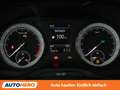 Skoda Kodiaq 2.0 TDI Scout 4x4 Braun - thumbnail 20