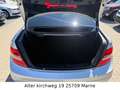 Mercedes-Benz C 250 C.Klasse Coupe C250 PDC,KLIMA.ATA.NAV.BT.LED.SHZ Silber - thumbnail 30