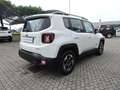 Jeep Renegade 1.6 Mjt Longitude Bianco - thumbnail 5