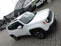 Jeep Renegade 1.6 Mjt Longitude Bianco - thumbnail 3