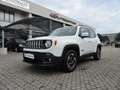 Jeep Renegade 1.6 Mjt Longitude Bianco - thumbnail 1