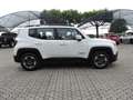 Jeep Renegade 1.6 Mjt Longitude Bianco - thumbnail 4
