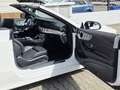 Mercedes-Benz E 450 E450 4MATIC CABRIO AMG-LINE*WIDE*360°LED*AIRSCAR Blanco - thumbnail 20