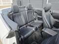 Mercedes-Benz E 450 E450 4MATIC CABRIO AMG-LINE*WIDE*360°LED*AIRSCAR Blanco - thumbnail 29