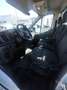 Ford Transit CASS SCAT 350L3 2000 TDI 130CV MHEV Biały - thumbnail 10