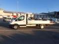 Ford Transit CASS SCAT 350L3 2000 TDI 130CV MHEV Biały - thumbnail 3