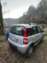 Fiat Panda 1.3 mjt 16v Climbing 4x4 75cv - thumbnail 3