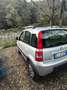 Fiat Panda 1.3 mjt 16v Climbing 4x4 75cv - thumbnail 2
